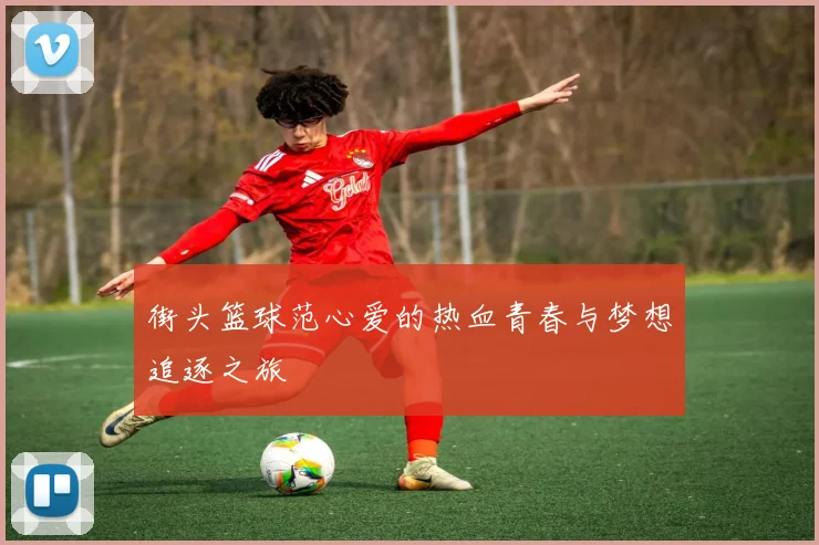 街头篮球范心爱的热血青春与梦想追逐之旅