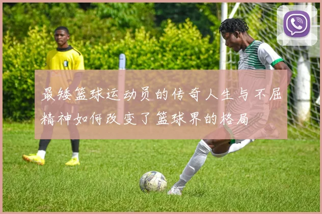 最矮篮球运动员的传奇人生与不屈精神如何改变了篮球界的格局